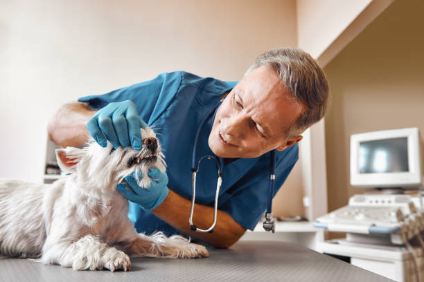 Best Emergency Tooth Extraction in Hampton, MD